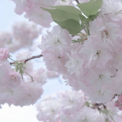 Furry插画手绘技巧干货兽圈社群